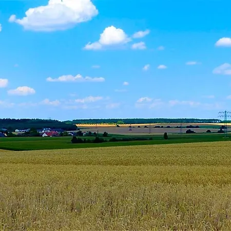 Hotel Gruener Baum 3*