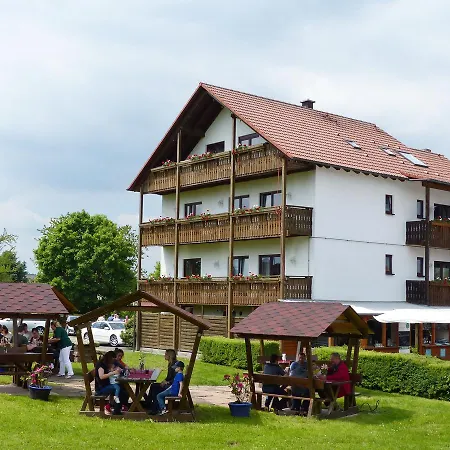 Hotel Gruener Baum Kulsheim