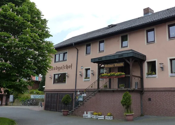 Hotel Gruener Baum Kulsheim